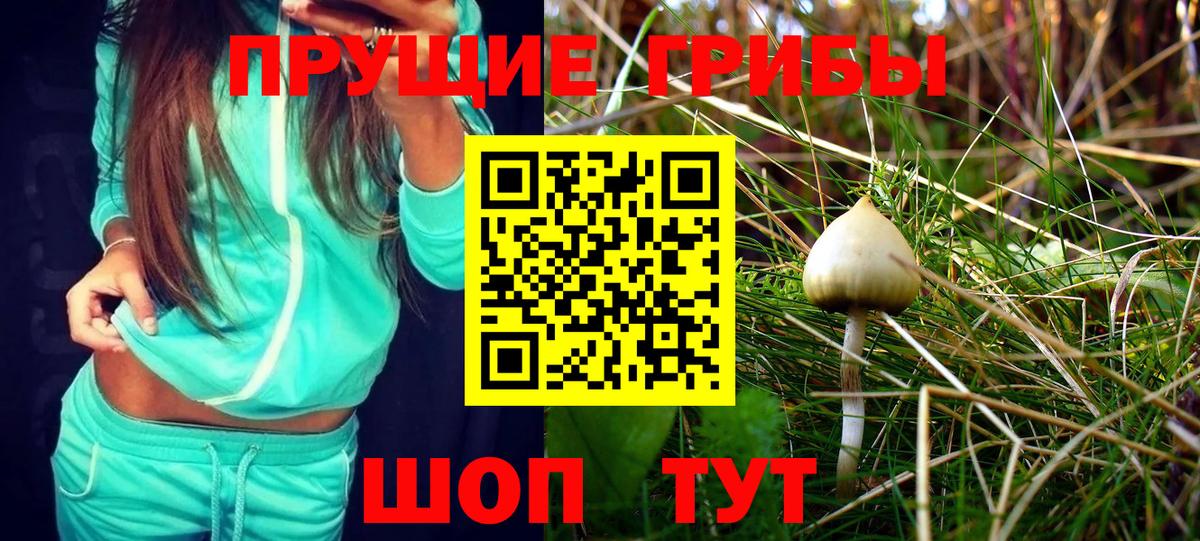 Галлюциногенные грибы Psilocybine cubensis  Галлюциногенные грибы Psilocybine cubensis  Вход с VPN  Рассказово 